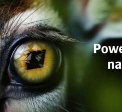 La compañía presentará tres nuevas incorporaciones, respondiendo a las necesidades de mercado.