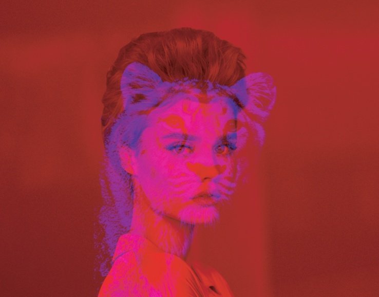 La combinación de dos imágenes impresas en dos colores (rojo y azul) crea el efecto sorprendente.