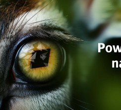 Los visitantes podrán ver en acción los nuevos sistemas Jeti Tauro H3300 XUHS y Onset Panthera FB3216, entre otros. 