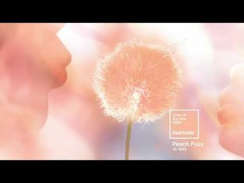 PEACH FUZZ 13-1023 , PANTONE COLOR OF THE YEAR 2024